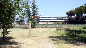 <b>PIÙ CURATI.</b> In programma investimenti per rifare i parchi a Lido e Camaiore