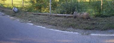 Il lampione per terra allincrocio tra via Ramoni e via Montebono 