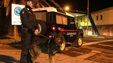 Controlli dei carabinieri con i cani antidroga