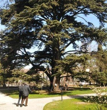 LOrto botanico nel cuore della citt&agrave;     