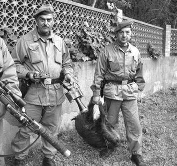 La forestale con un cinghiale sequestrato in una foto di repertorio