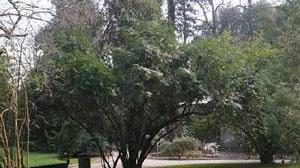 Orto botanico, nuovo look entro marzo