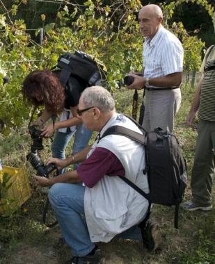 Fotografi del circolo Crec in azione durante la vendemmia    