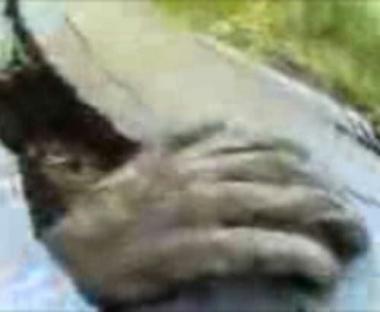 <b>LA MANO </b>in alcune immagini tratte da un video    