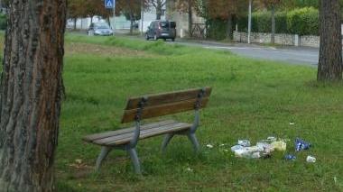 Rifiuti nello spazio verde