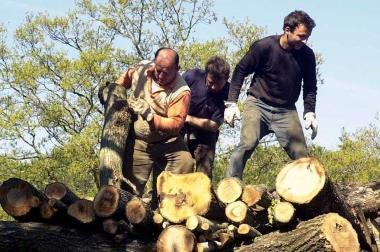 <b>BOSCAIOLI </b>pronti a sfidarsi al parco di via Giotto    