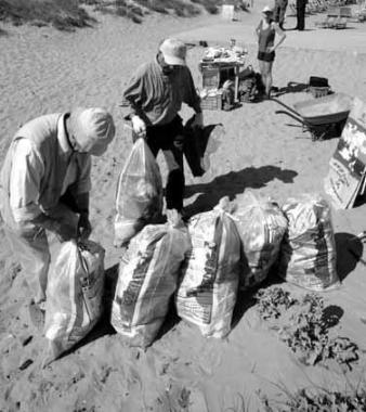 <b>PULIZIA. </b>Delle spiagge sul promontorio 