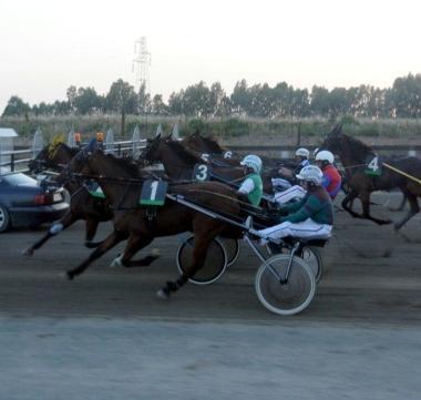 <b>IN GARA.</b> Allippodromo dei Pini 