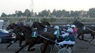 <b>IN GARA.</b> All’ippodromo dei Pini