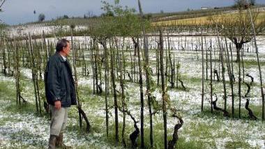 Un agricoltore controlla i danni