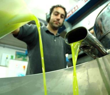 <b>FRANTOIO </b>Gira grazie a un impianto fotovoltaico  