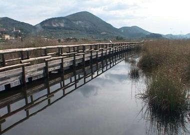 <b>NATURA.</b> Loasi Lipu a Massaciuccoli 