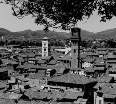 Il paesaggio ora si tutela anche col web