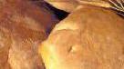 Vetrina per il pane di Regnano