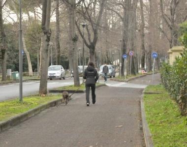 Il viale delle Piagge   