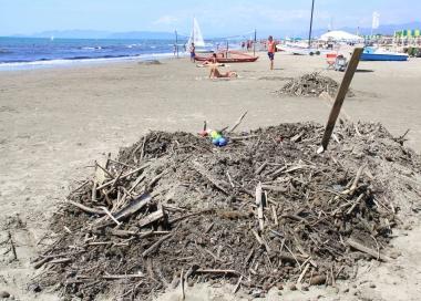 Lavarone sulla spiaggia di Marina  