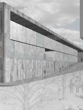 Unimmagine realizzata al computer del progetto sul recupero dellIpsia 
