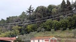 «Adottate un contadino»