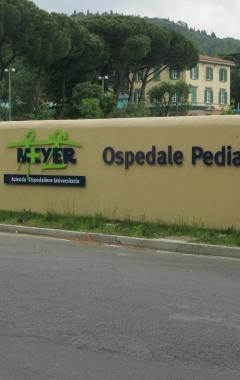 Lospedale pediatrico Meyer a Firenze 