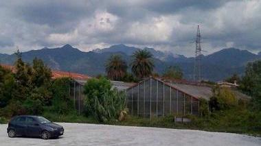 <strong>SPAZIO DA RECUPERARE.</strong> L’area ex Galeotti sulla via Provinciale
