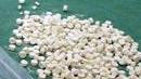 Arrestato minorenne con 82 pasticche di ecstasy in tasca