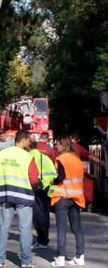 Cade un albero, via Pisorno bloccata per ore