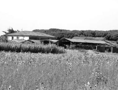 I poderi nella Tenuta di Rimigliano   