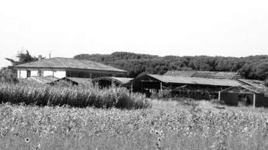 I poderi nella Tenuta di Rimigliano