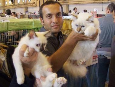 In tantissimi ad ammirare i gatti più rari