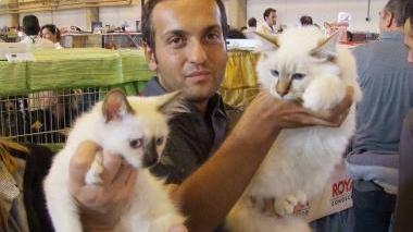 In tantissimi ad ammirare i gatti più rari
