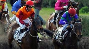 <b>CASALONE</b> Siepisti in azione