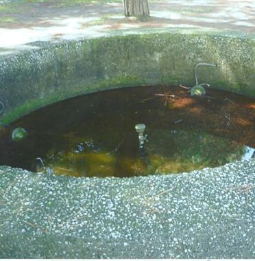 «Nel parco di Marina ci sono troppi pericoli e cosa aspettano a rimettere a posto il monumento?»