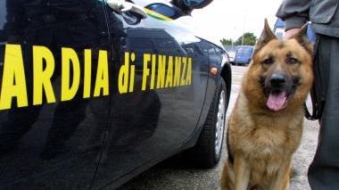 L’operazione della Finanza è stata condotta con l’ausilio di nuclei speciali e cani antidroga
