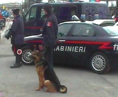 <b>CARABINIERI.</b> La pattuglia con il cane antidroga 