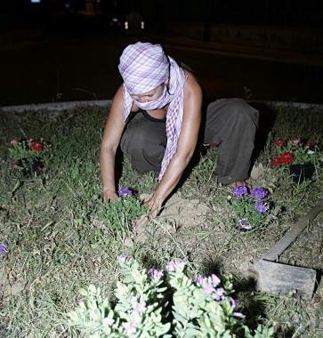 Un esempio di impegno per la comunit&agrave;: le aiuole curate dai Figli dei fiori 