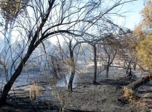 Incendi, i controlli hanno funzionato