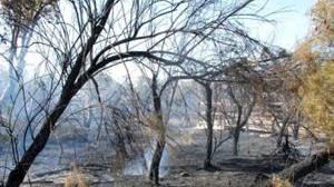 Incendi, i controlli hanno funzionato