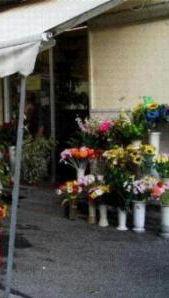 Vendita di fiori al cimitero         