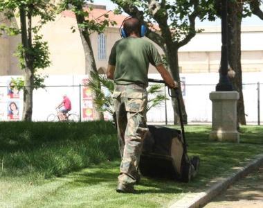 <b>REGOLE.</b> Un giardiniere al lavoro      