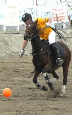 <b>FASCINO.</b> Un giocatore in azione 
