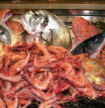 Pesce per la ristorazione 