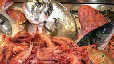Pesce per la ristorazione