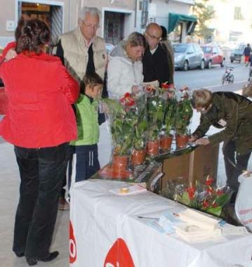 Uniniziativa dellAido in piazza     