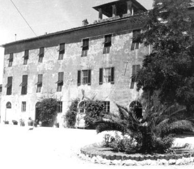 La tenuta di Vignale Riotorto 