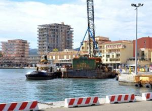 «Salviamo i ricci del porto»