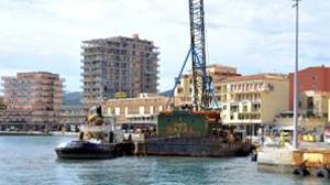 «Salviamo i ricci del porto»