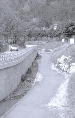 Nuovi lavori sul fiume Camaiore  