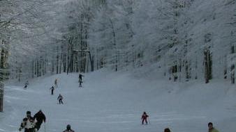 <b>SCIATORI.</b> Su una delle tante piste da sci che si snodano tra gli alberi