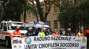 Folla al raduno delle unità cinofile