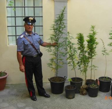 Sequestrati quasi sei chili e mezzo di cannabis 